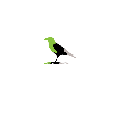 Black Birdie Pro Golf Protein 2